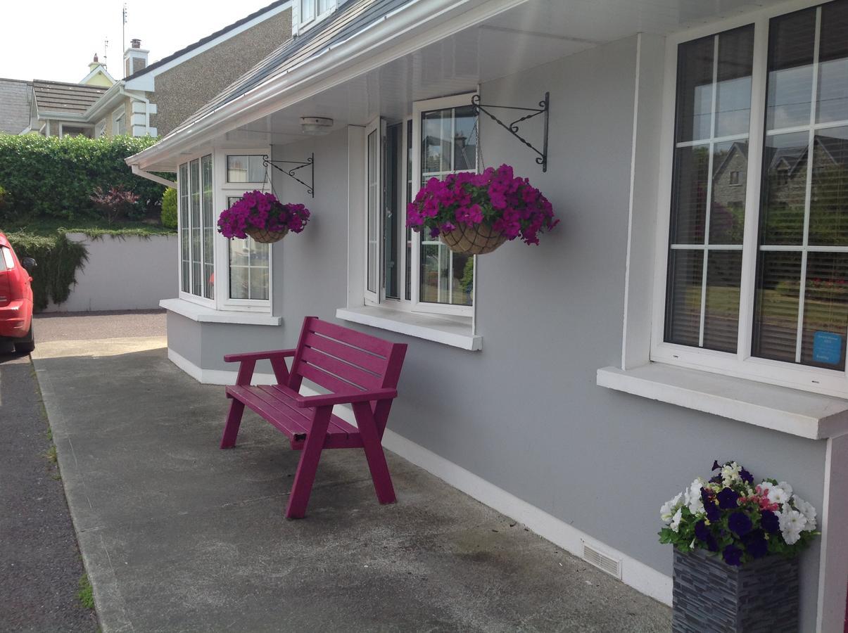 The Well Bed & Breakfast クロナキルティ エクステリア 写真